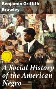 Cover-Bild zum Titel 'A Social History of the American Negro' von 'Benjamin Griffith Brawley'