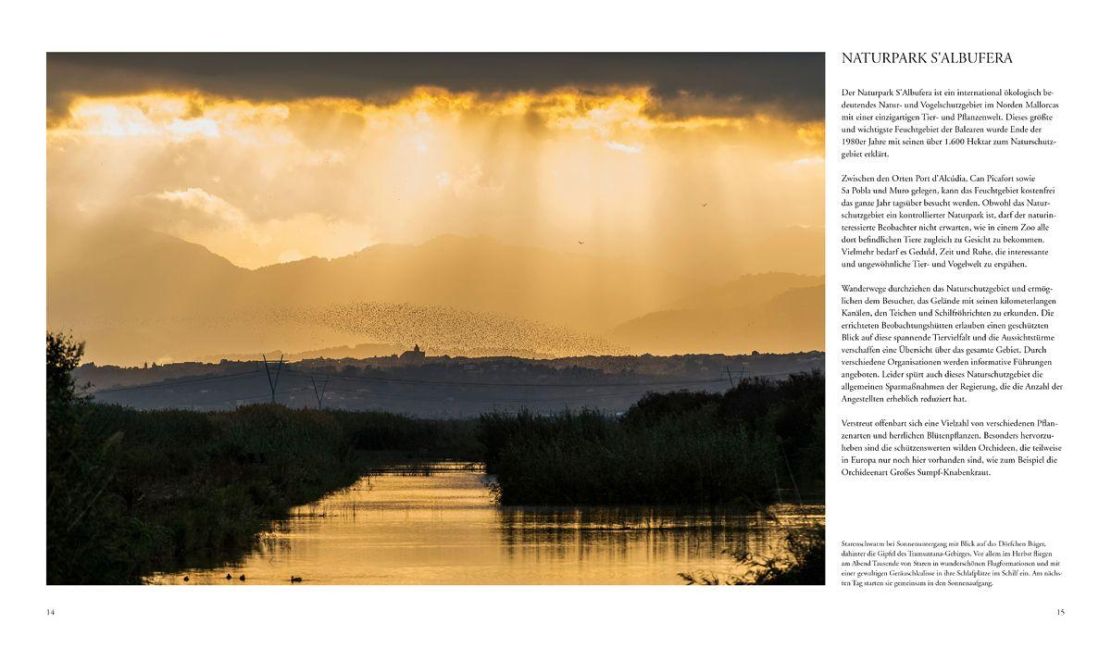 InsideView 12