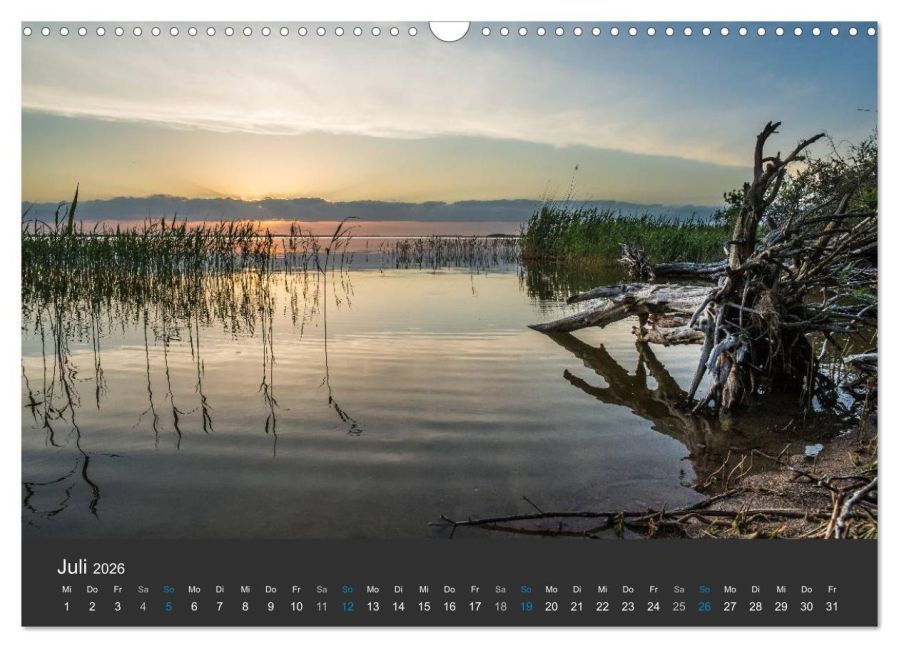InsideView 12