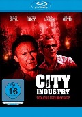 Cover-Bild zum Titel 'City of Industry - Tödliche Freundschaft' von 'Ken Solarz, Stephen Endelman'