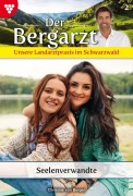 Cover-Bild zum Titel 'Seelenverwandte' von 'Christine von Bergen'