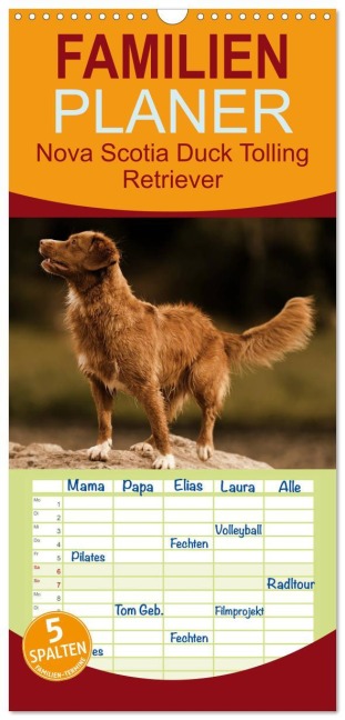 Familienplaner 2026 - Nova Scotia Duck Tolling Retriever mit 5 Spalten (Wandkalender, 21 x 45 cm) CALVENDO - Beatrice Müller Hundefotowerk