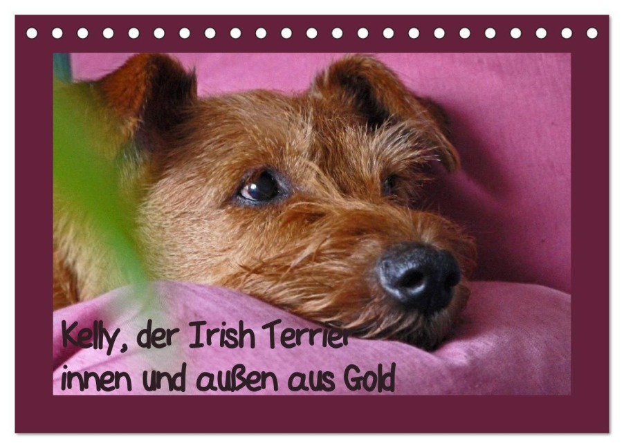Kelly, der Irish Terrier - innen und außen aus Gold (Tischkalender 2026 DIN A5 quer), CALVENDO Monatskalender - Claudia Schimon
