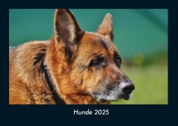 Cover-Bild zum Titel 'Hunde 2025 Fotokalender DIN A4' von 'Tobias Becker'