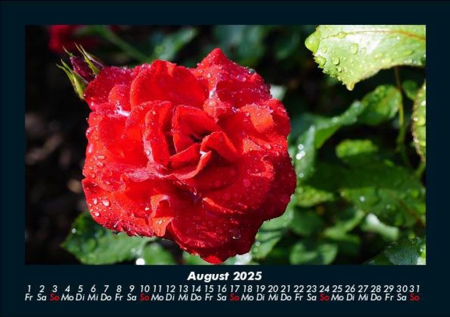 InsideView 12