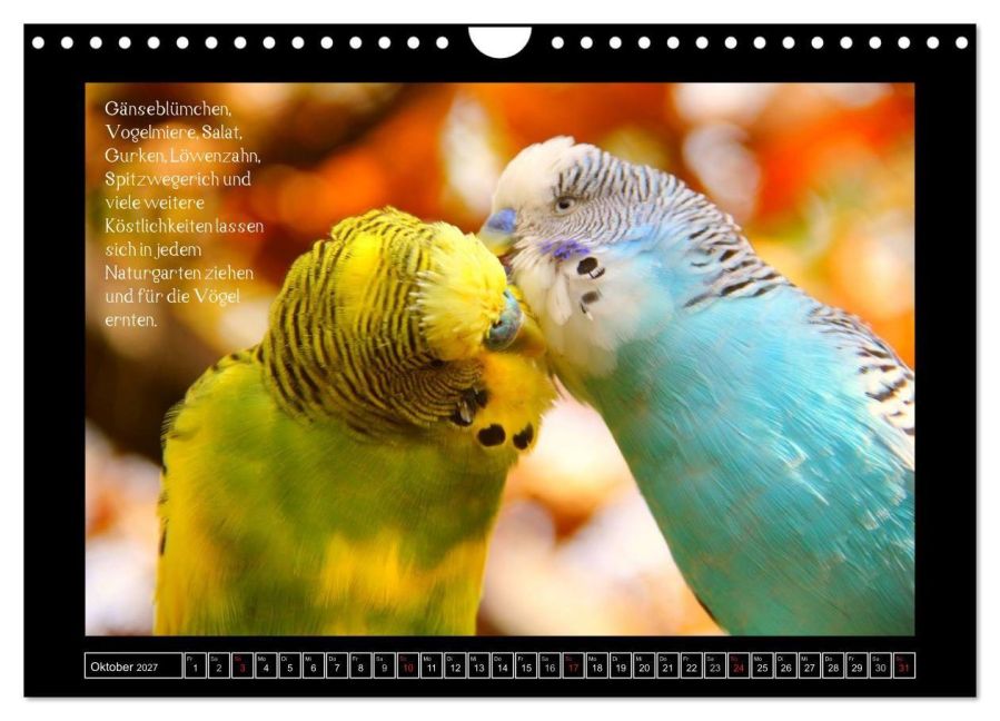 InsideView 2