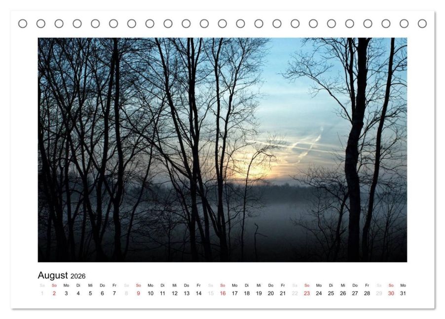 InsideView 13