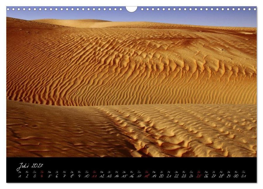 InsideView 12