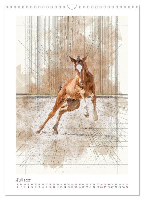 InsideView 12