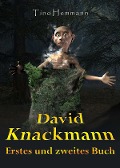 Cover-Bild zum Titel 'David Knackmann. Zwei Fantasy-Bücher in einem!' von 'Tino Hemmann'