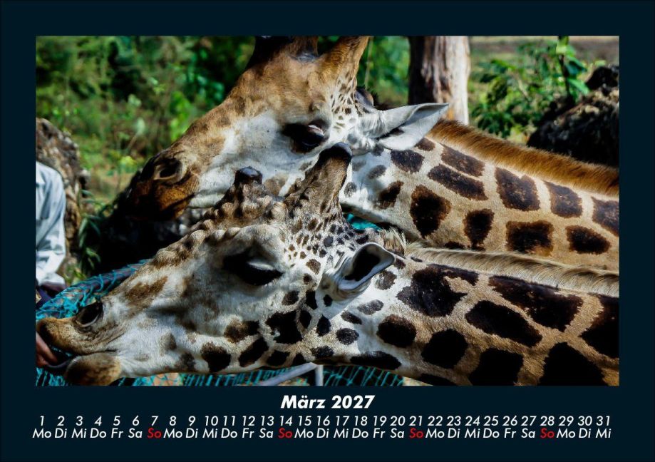 InsideView 7