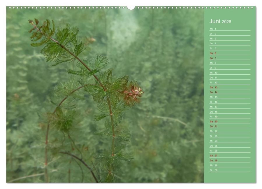 InsideView 10