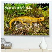 Cover-Bild zum Titel 'Salamander und Molche (hochwertiger Premium Wandkalender 2026 DIN A2 quer), Kunstdruck in Hochglanz' von 'Benny Trapp'