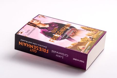 InsideView 2