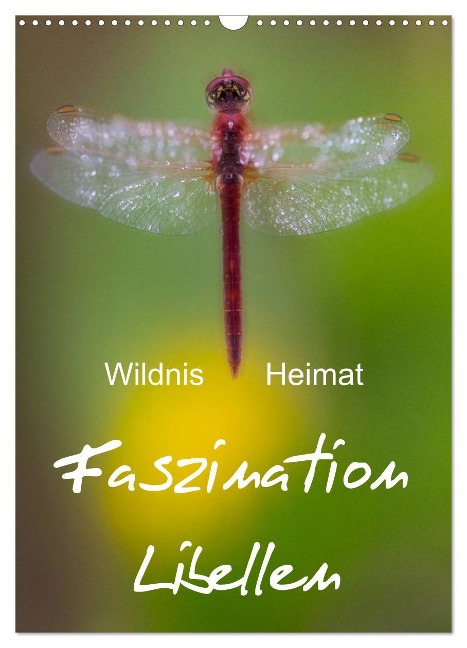 Faszination Libellen - Wildnis Heimat (Wandkalender 2025 DIN A3 hoch), CALVENDO Monatskalender - Ferry Böhme