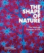 Cover-Bild zum Titel 'The Shape of Nature' von 'David Maitland'
