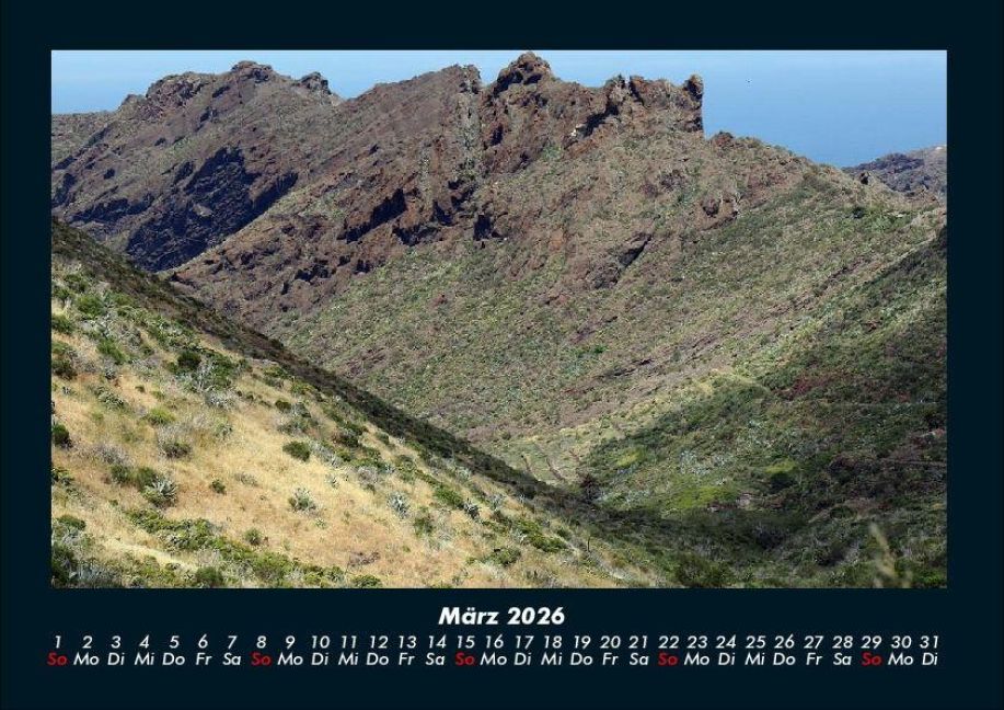 InsideView 7
