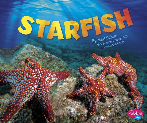 Starfish - 