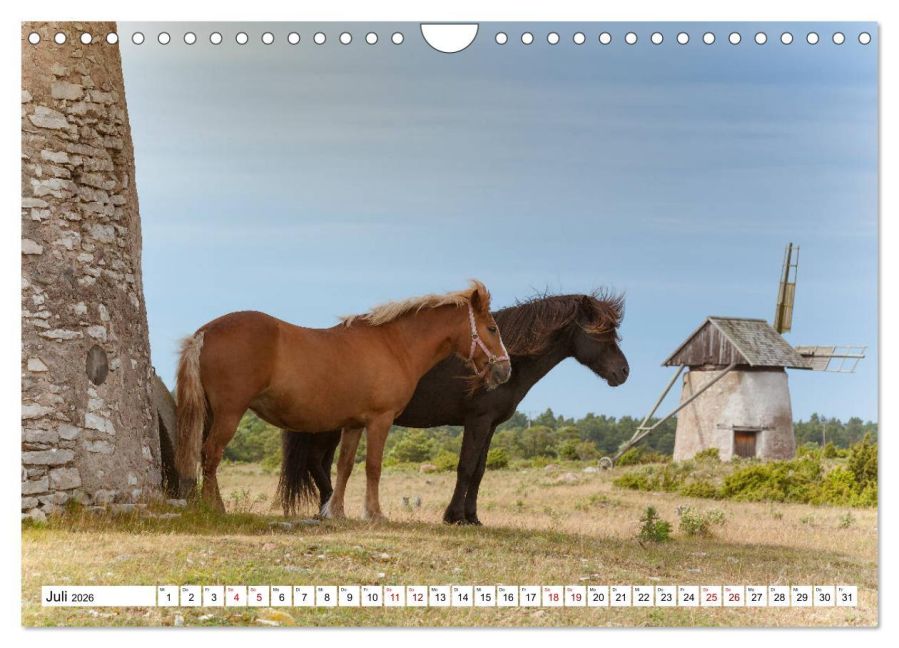 InsideView 12