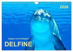 Cover-Bild zum Titel 'Delfine - elegant und intelligent (Wandkalender 2026 DIN A4 quer), CALVENDO Monatskalender' von 'Peter Roder'