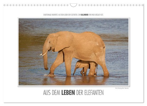 Emotionale Momente: Aus dem Leben der Elefanten. / CH-Version (Wandkalender 2025 DIN A3 quer), CALVENDO Monatskalender - Ingo Gerlach GDT