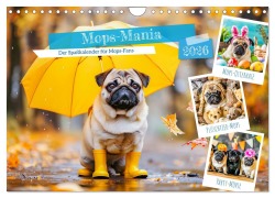 Cover-Bild zum Titel 'Mops-Mania - Der Spaßkalender für Mops-Fans (Wandkalender 2026 DIN A4 quer), CALVENDO Monatskalender' von 'Anja Frost'
