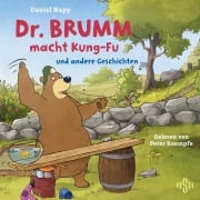 Cover-Bild zum Titel 'Dr. Brumm macht Kung-Fu (Dr. Brumm)' von 'Daniel Napp, Judith Ruyters'