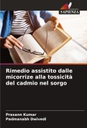 Cover-Bild zum Titel 'Rimedio assistito dalle micorrize alla tossicità del cadmio nel sorgo' von 'Prasann Kumar, Padmanabh Dwivedi'