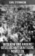 Cover-Bild zum Titel 'Busekow und andere gesellschaftskritische Novellen' von 'Carl Sternheim'