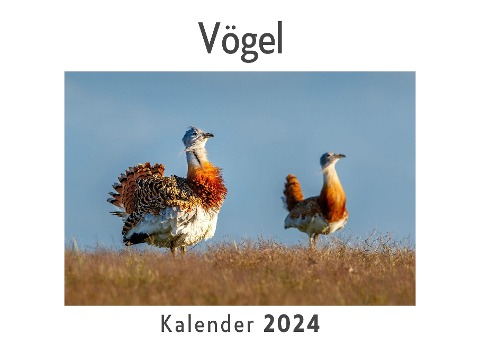 Vögel (Wandkalender 2024, Kalender DIN A4 quer, Monatskalender im Querformat mit Kalendarium, Das perfekte Geschenk) - Anna Müller