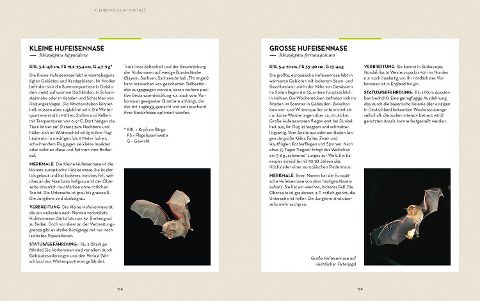 InsideView 5