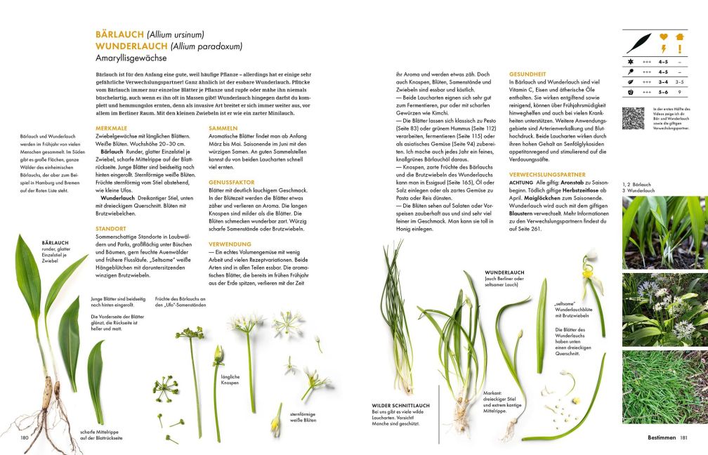 InsideView 15