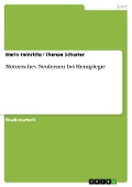 Cover-Bild zum Titel 'Motorisches Neulernen bei Hemiplegie' von 'Mario Heinrichs, Theresa Schuster'