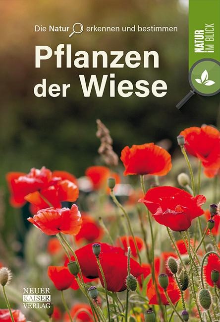 Pflanzen der Wiese - 
