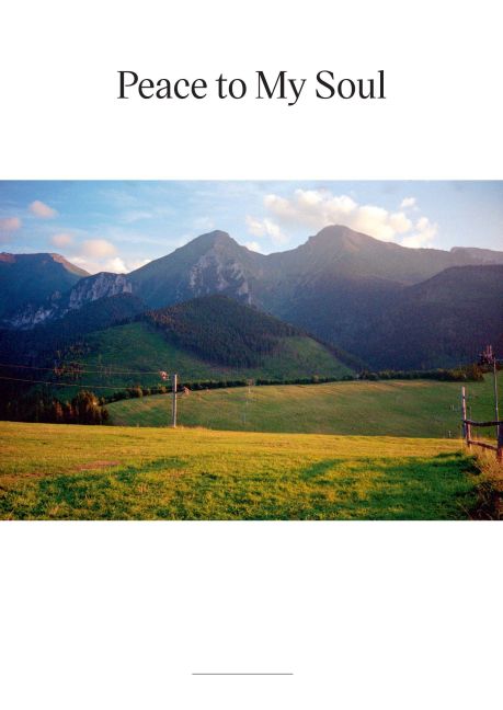 InsideView 18