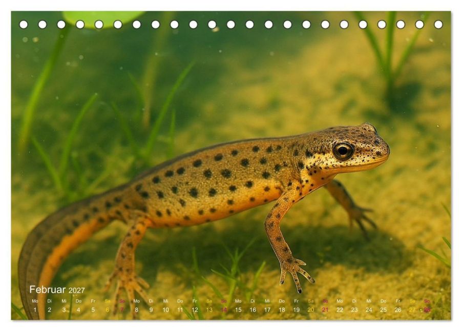 InsideView 7