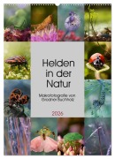 Cover-Bild zum Titel 'Helden in der Natur (Wandkalender 2026 DIN A2 hoch), CALVENDO Monatskalender' von 'Joanna Grodner-Buchholz'