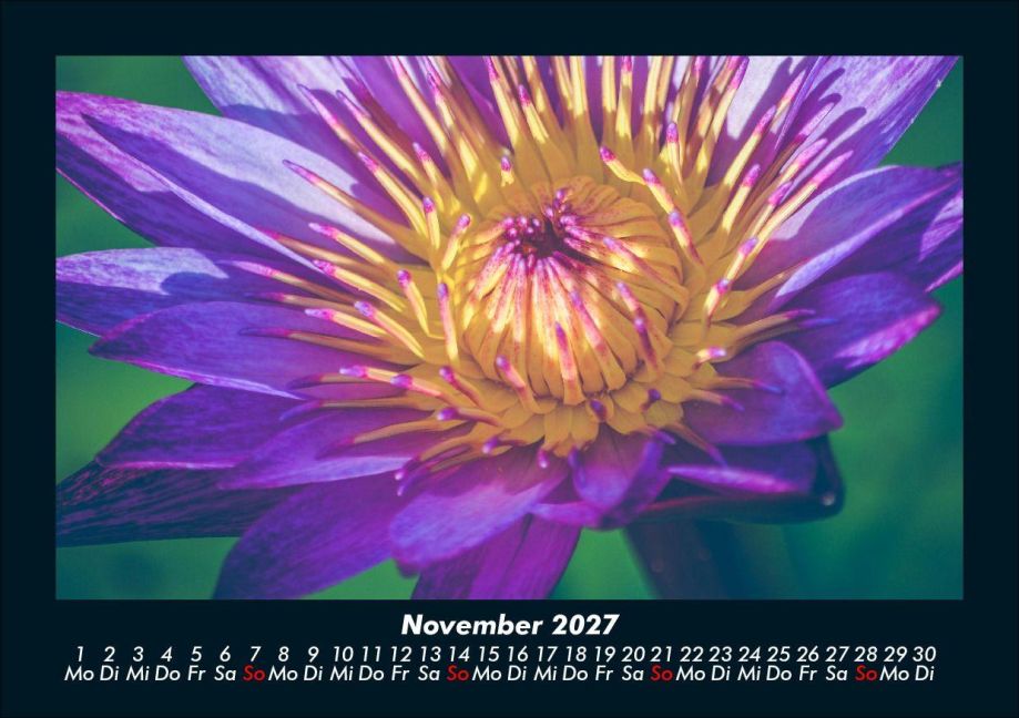 InsideView 3