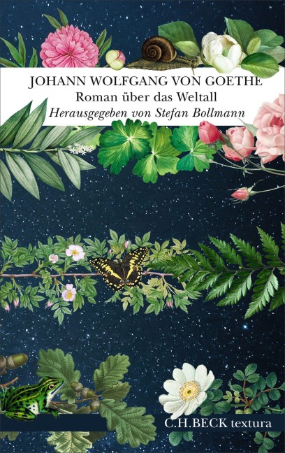 Roman über das Weltall - Johann Wolfgang von Goethe
