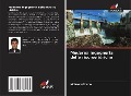Cover-Bild zum Titel 'Moderna ingegneria delle risorse idriche' von 'Mohsen Ghane'
