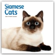 Siamese Cats - Siamesische Katzen - Siamkatzen 2026 - Wand-Kalender - Carousel Calendar