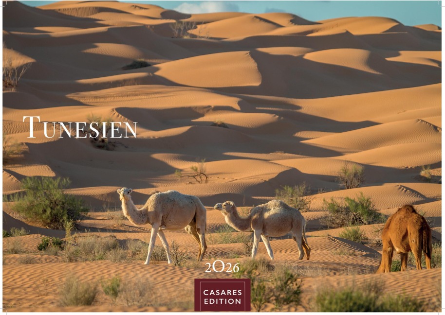 Tunesien Kalender 2026 - Wandkalender | Fotokalender Afrika 24x35 cm: Hochwertige Fotos, die die Kultur, Landschaften und Sehenswürdigkeiten Tunesiens zeigen. - 