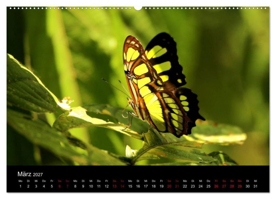 InsideView 7