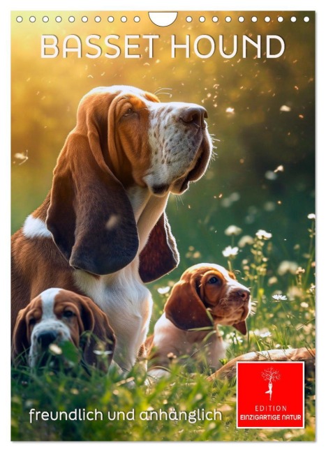 Basset Hound - freundlich und anhänglich (Wandkalender 2026 DIN A4 hoch), CALVENDO Monatskalender - Peter Roder