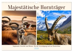 Cover-Bild zum Titel 'Majestätische Hornträger (Wandkalender 2026 DIN A3 quer), CALVENDO Monatskalender' von 'Claudia Kleemann'