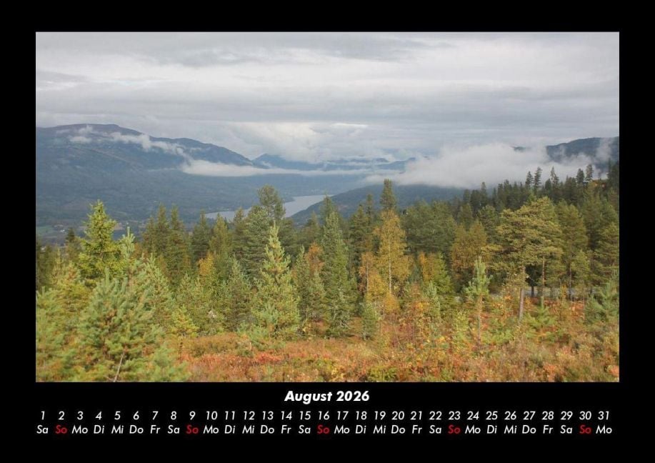 InsideView 12