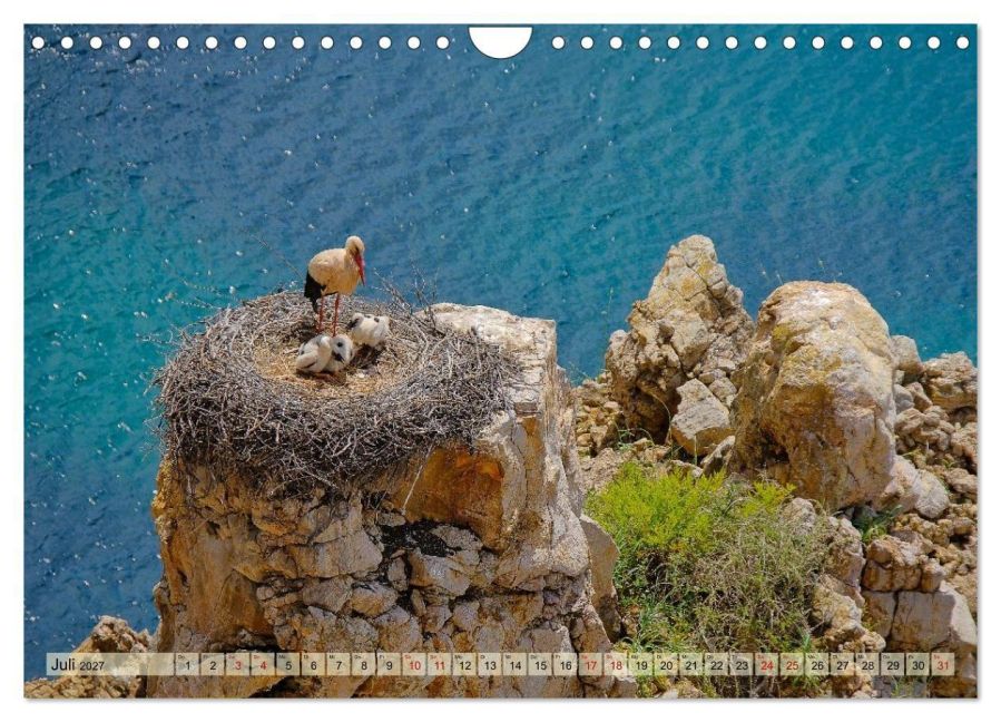 InsideView 12