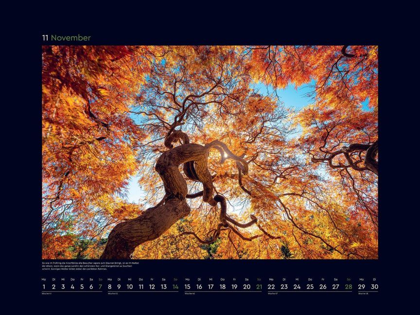 InsideView 12