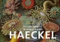 Cover-Bild zum Titel 'Postkarten-Set Ernst Haeckel' von ''