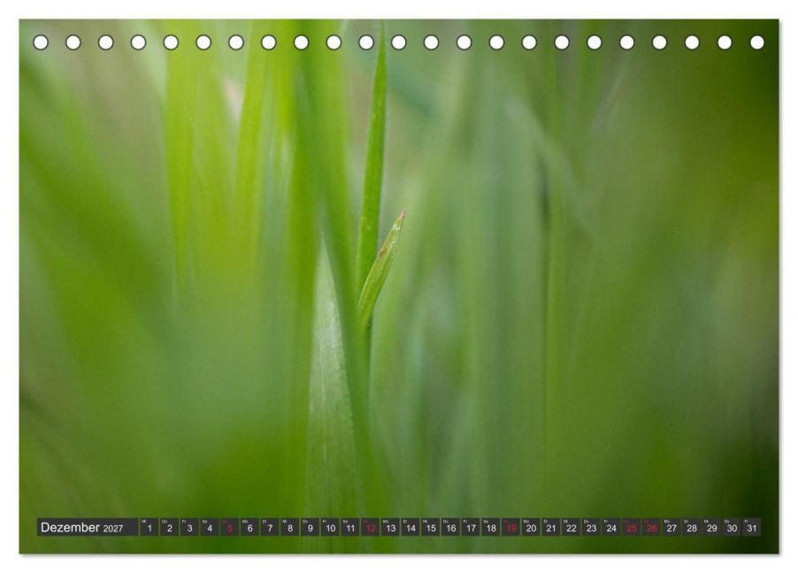 InsideView 4